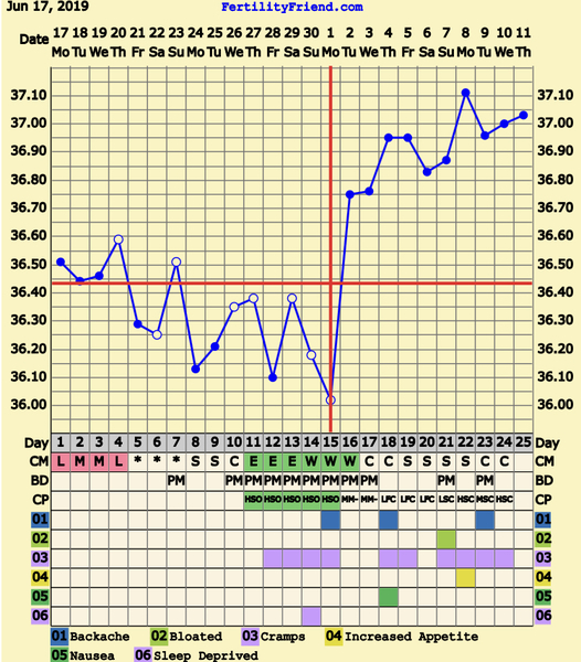 First Pregnancy Missed Miscarriage (Part III)