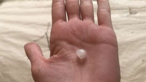 Thunderstorm watch summer 2019