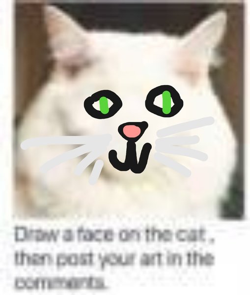 Draw a cat face challenge
