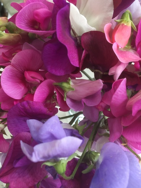 What visual things bring you joy?