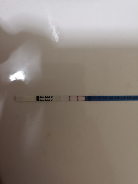 Ovulation test