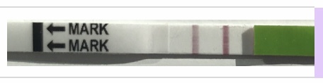 Is this a positive OPK???