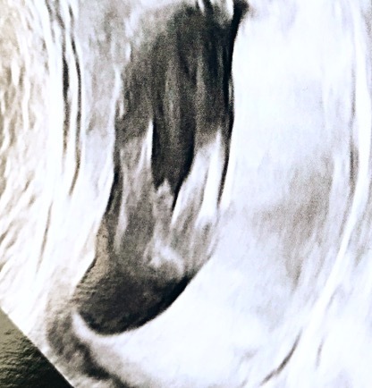 Potty shot , this is definitely our 3rd boy right