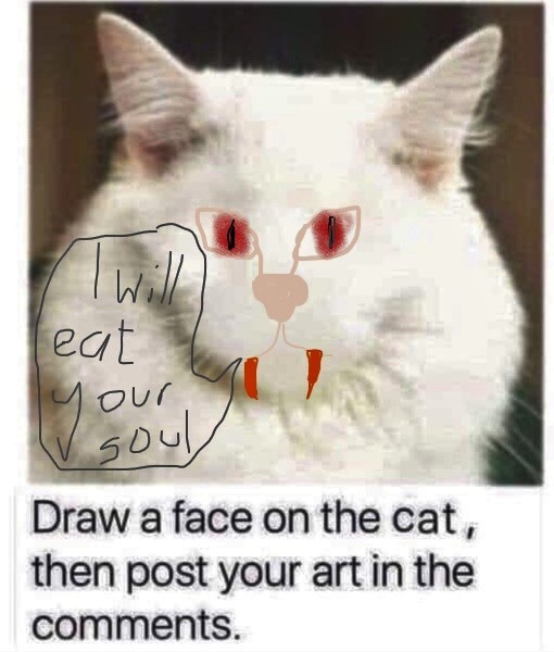 Draw a cat face challenge