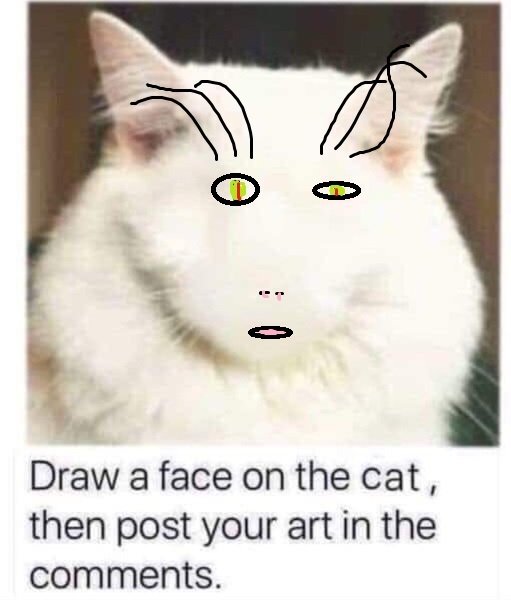 Draw a cat face challenge