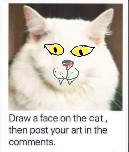 Draw a cat face challenge