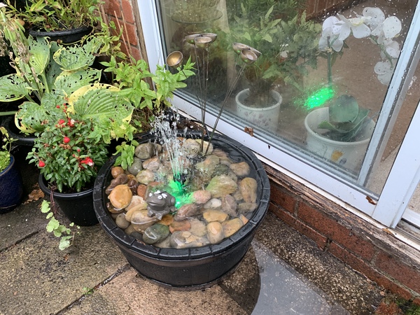 AIBU to love my new water feature?