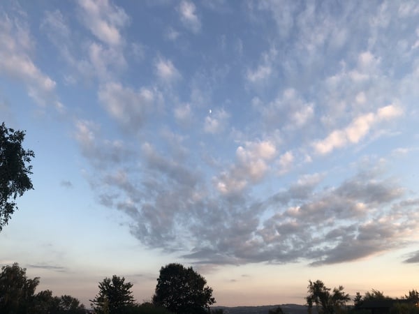 Any Witches Here? Part 8.