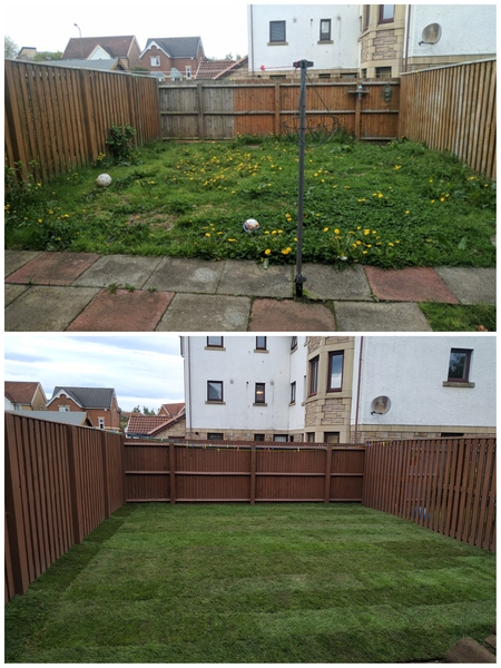 Help needed to repair back garden