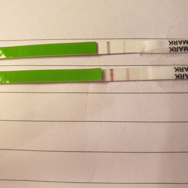 Opk progression