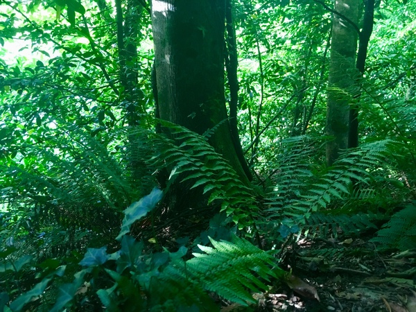 Any Witches Here? Part 9.