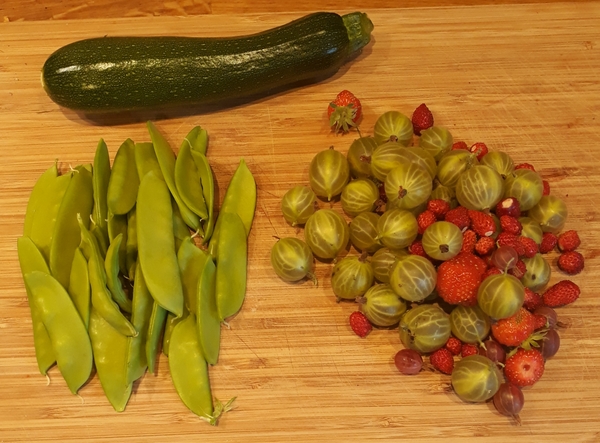Allotment/Veg Patch Thread 14 ! growing into summer