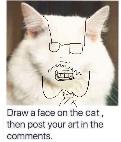 Draw a cat face challenge