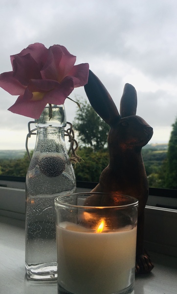 Any Witches Here? Part 9.