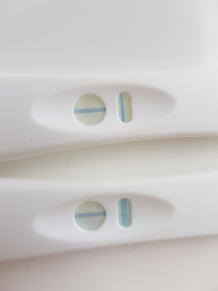 Merina pregnancy