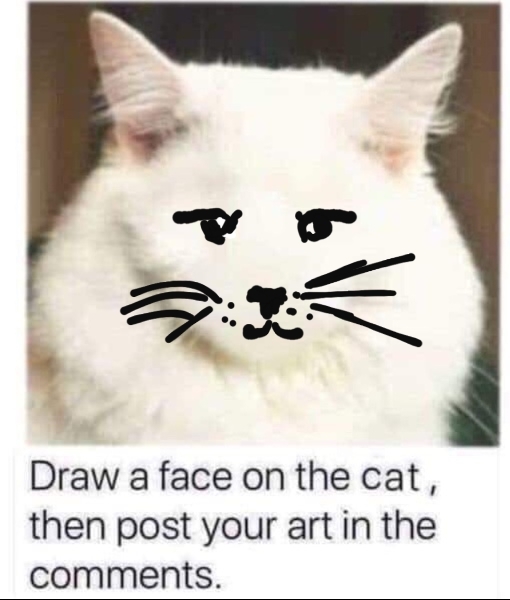 Draw a cat face challenge