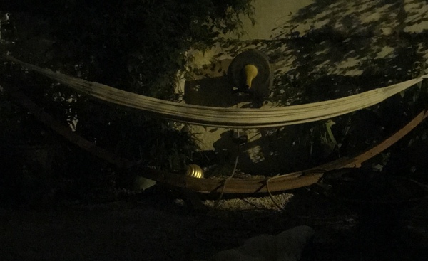 To sleep in the garden in the hammock tonight