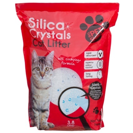 To want to get rid of the cat