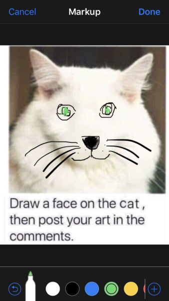 Draw a cat face challenge