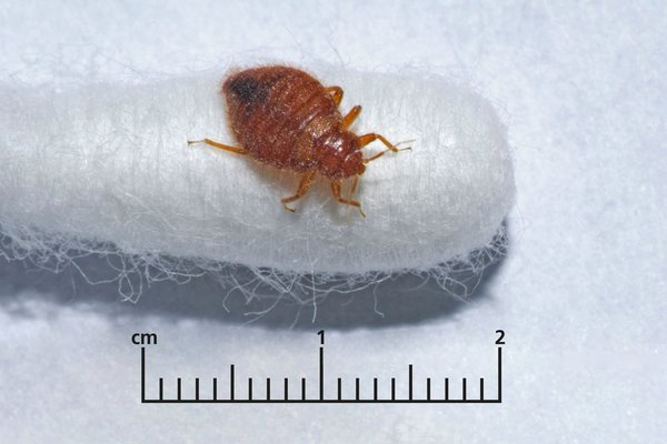 To ask what this is?