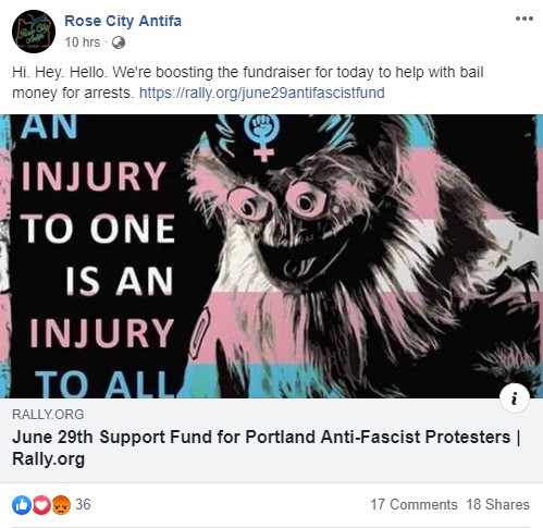 Antifa attacks editor at quilette by throwing milkshakes with quick drying cement in
