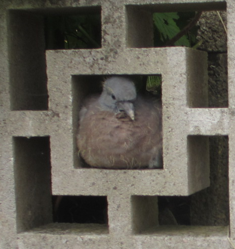 Westminstenders: It couldn't get any worse... Until today