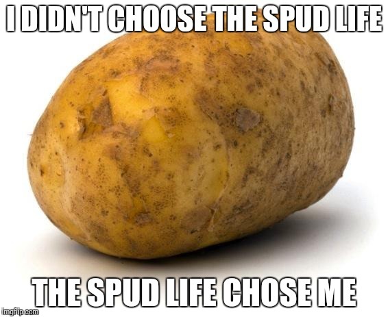 To hate potatoes ?