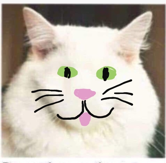 Draw a cat face challenge