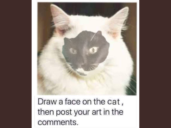 Draw a cat face challenge