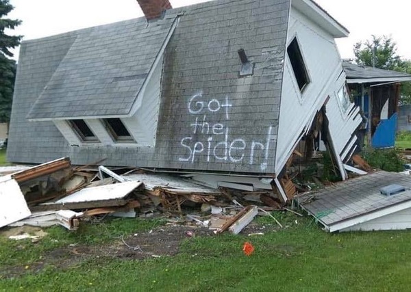 SHIT SPIDER