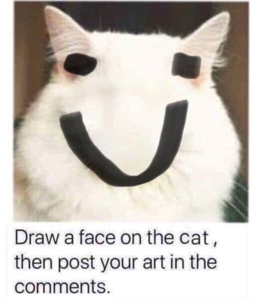 Draw a cat face challenge