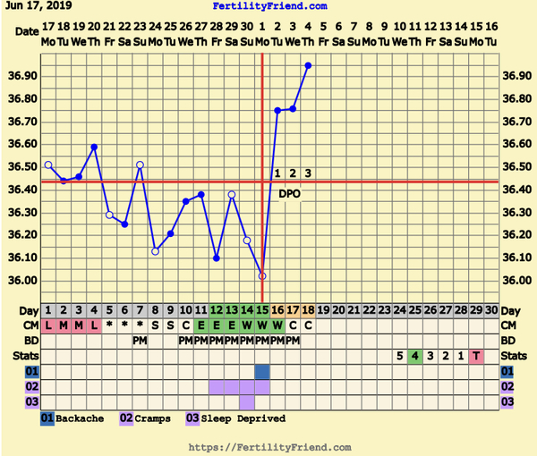 First Pregnancy Missed Miscarriage (Part III)