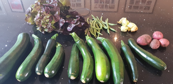 Allotment/Veg Patch Thread 14 ! growing into summer