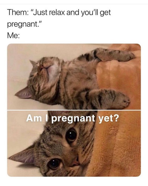 TTC after pregnancy loss thread 31 - baby penguins are coming!