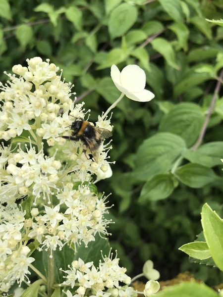 Frugal Friends, planning, saving and considerate spending through July and August