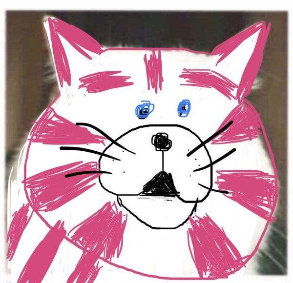 Draw a cat face challenge