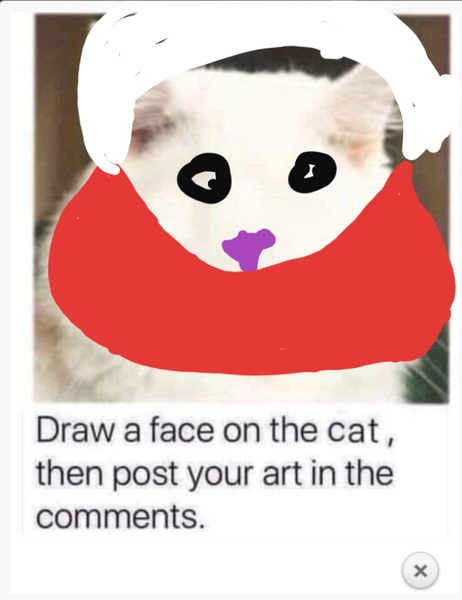 Draw a cat face challenge