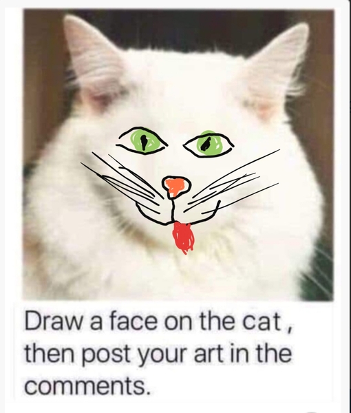 Draw a cat face challenge