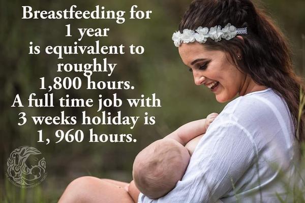 AIBU to think KLM's breastfeeding 'policy' is absurd?