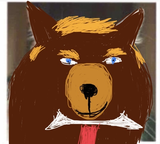 Draw a cat face challenge
