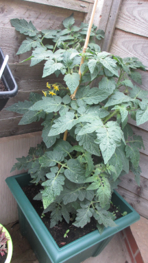 Show me your brexit stockpiles cont...