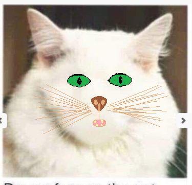 Draw a cat face challenge