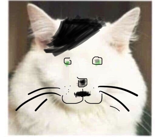 Draw a cat face challenge