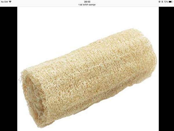 So that nylon netty clump thing you use to wash yourself in the shower?