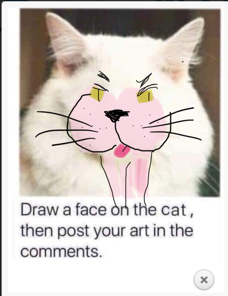 Draw a cat face challenge