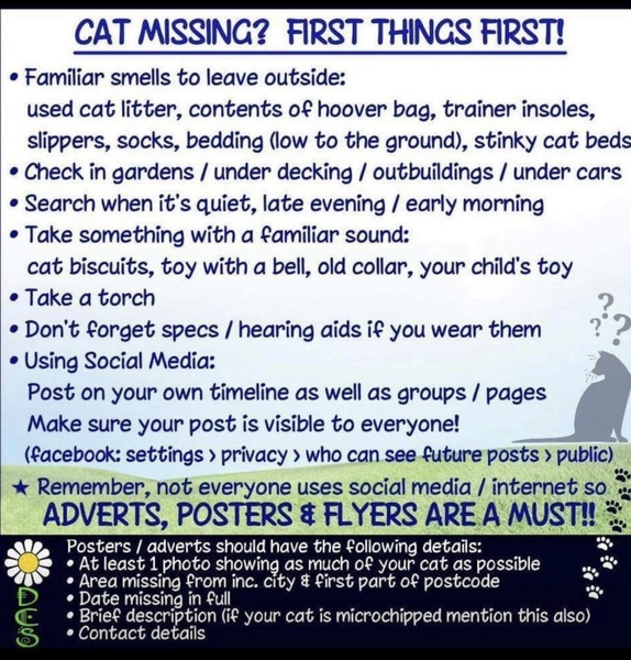 Help - the cats have escaped
