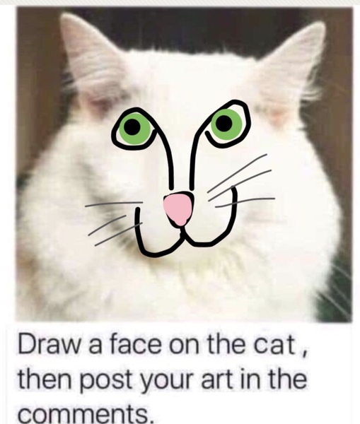 Draw a cat face challenge