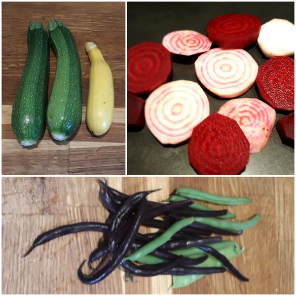 Allotment/Veg Patch Thread 14 ! growing into summer