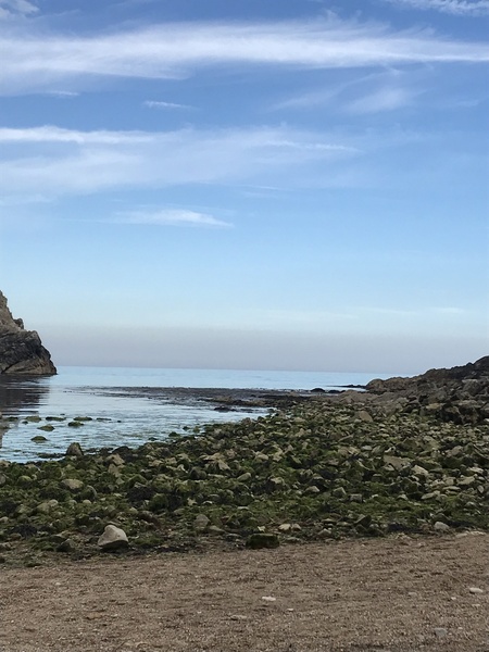 If you love where you live...