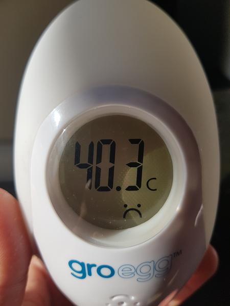 Aibu to ask how you all plan to cope with the heat on the next few days?